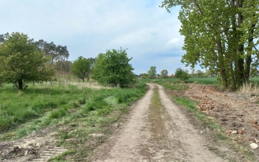 Działka na sprzedaż Kicko, gm. Stara Dąbrowa