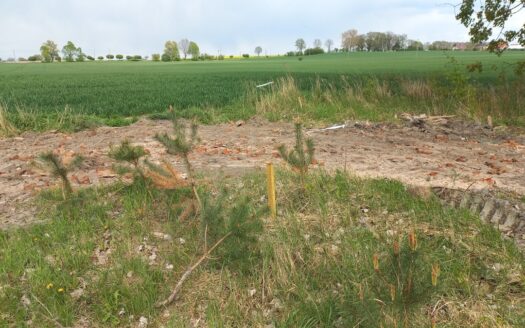 Działka na sprzedaż Kicko, gm. Stara Dąbrowa