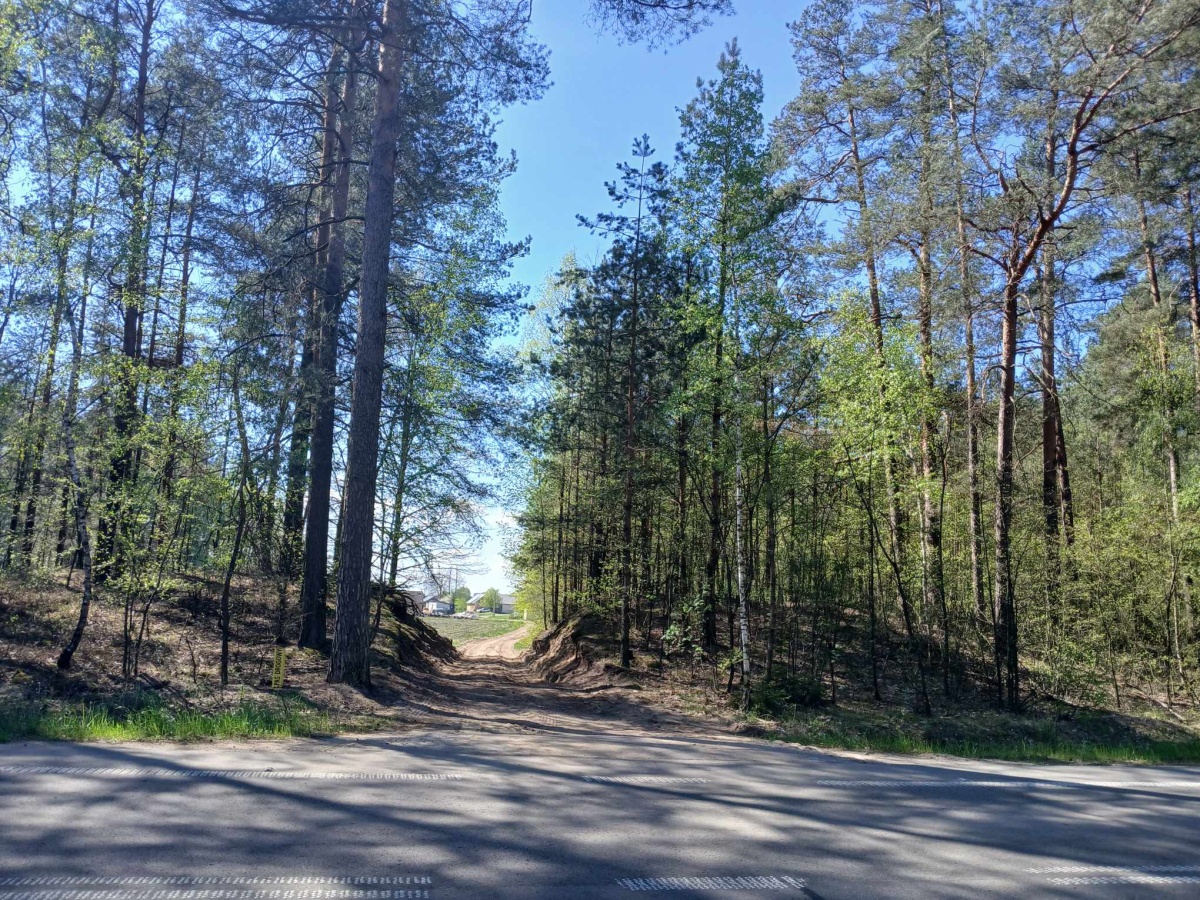 video image