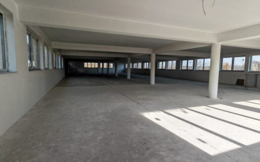 Hala handlowo-usługowa w centrum Bełchatowa