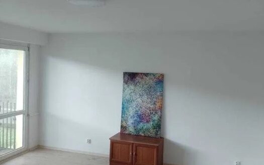 Mieszkanie 60m2 Leźnica k.Zgierz, Łęczyca, Ozorków