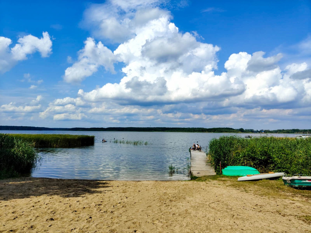 video image