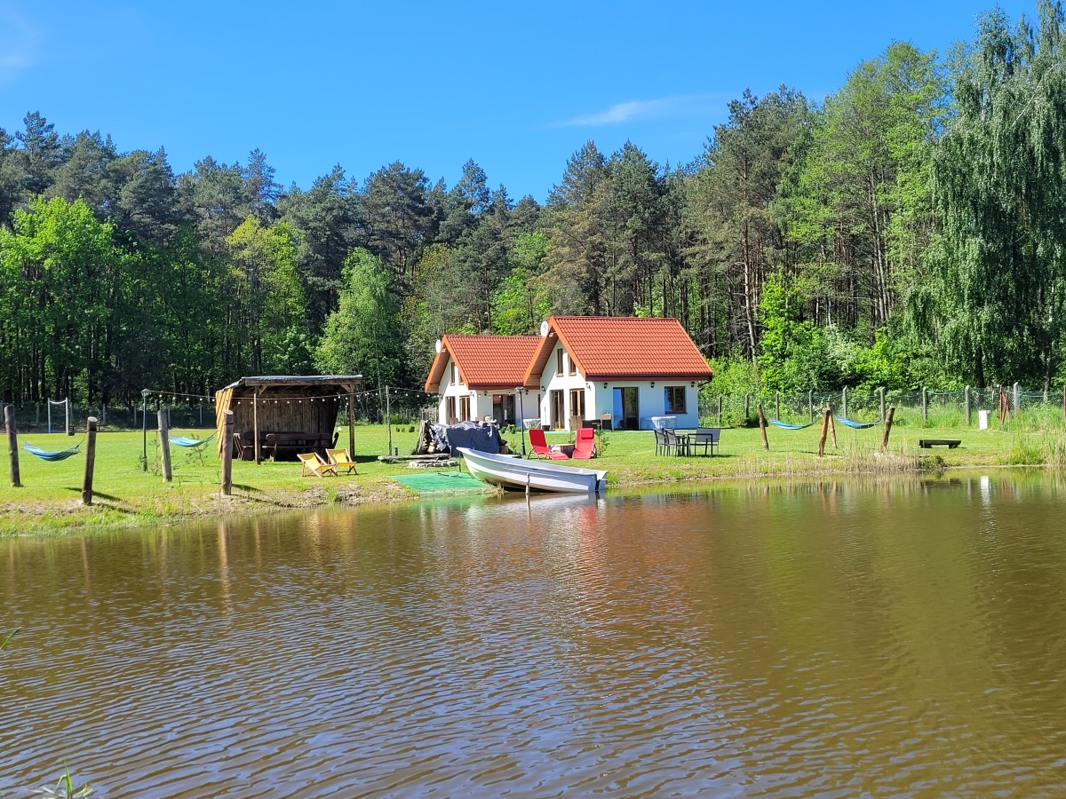 video image