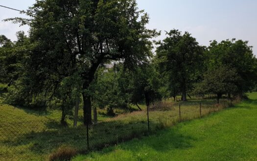 Piękne działki budowlane w Mazańcowicach obok lasu