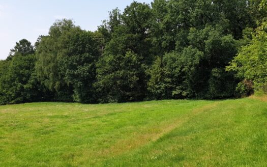 Piękne działki budowlane w Mazańcowicach obok lasu