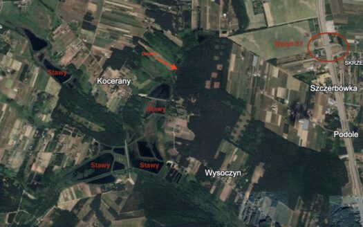 Działka z wejściem do lasu – 40 min do Warszawy