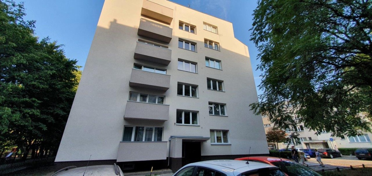 video image