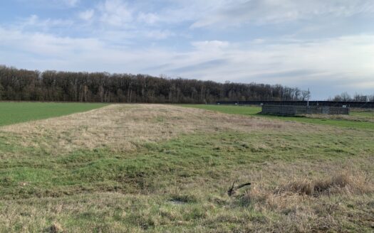 Działki rolne w Pątnowie Legnickim