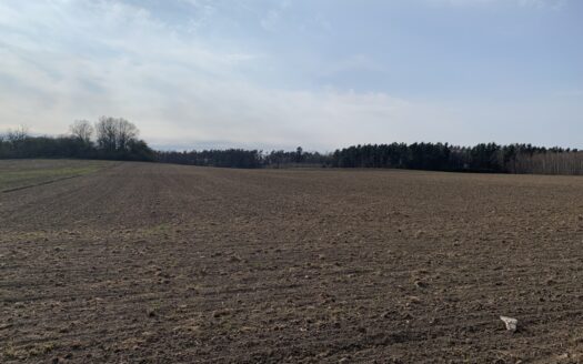 Działki rolne w Pątnowie Legnickim