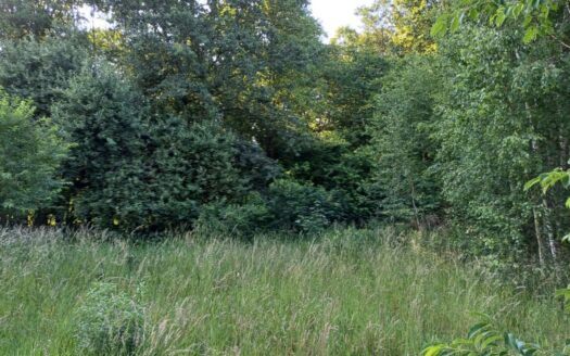 Działka budowlano-rolna w Bełchatowie