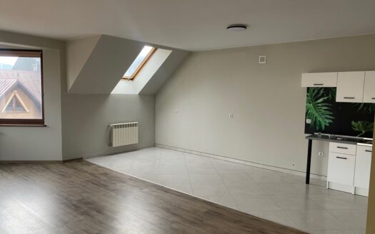 Lokal (możliwość podziału) biuro