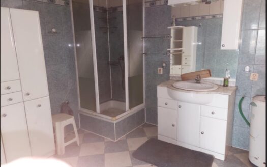 Duży dom z pomieszczeniami gospodarczymi 2000m