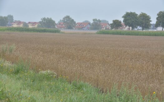 Grunt inwestycy Konarzewo 19498 m2 -bezpośrednio