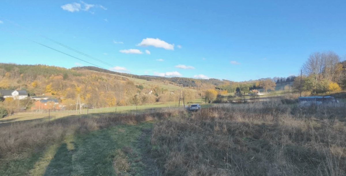 video image