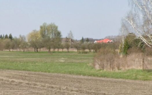 Dobiesz, Wolska, budowlano-usługowa, asfalt, media