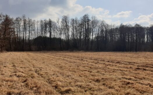 Działki bud w sercu natury, 35 min od Warszawy