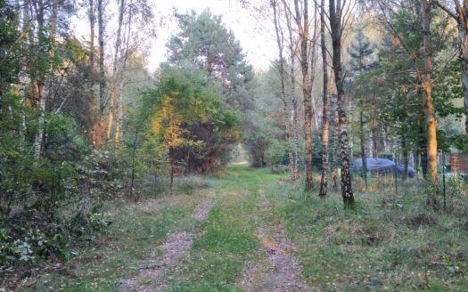 Działka 1,01 ha, Pelagia-Wodzierady pow łaski MPZP