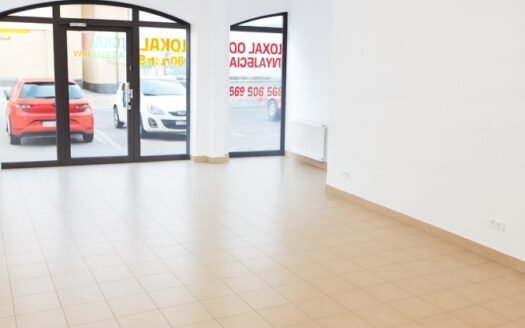 LOKAL USŁUGOWO HANDLOWY, LOKALIZACJA CENTRUM