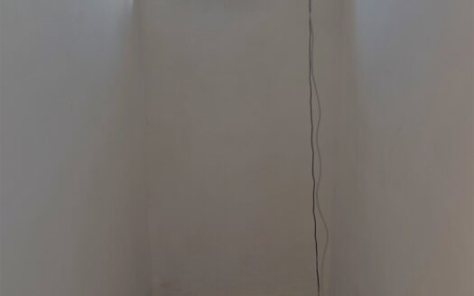 Sprzedaż domu Solec