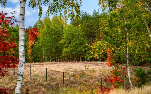 Prywatne Wzgórze Morenowe – Panorama i Cisza