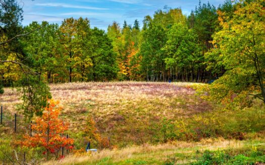 Prywatne Wzgórze Morenowe – Panorama i Cisza