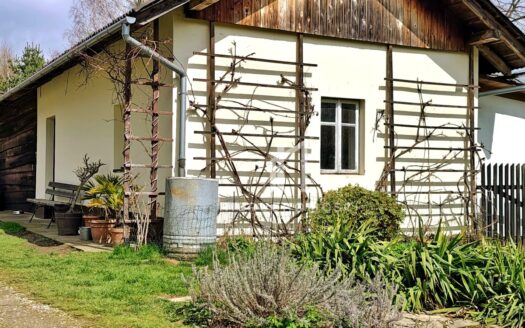 Dom z dużą zieloną działką, Lipinki, 54ar