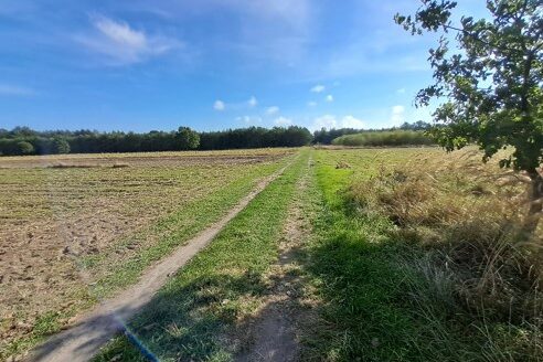 Nieruchomość gruntowa w miejscowości Stanisławów