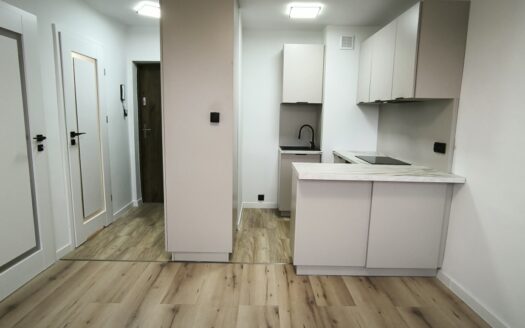 2 pokoje koło ASP – DOŁY – idealne pod inwestycje!