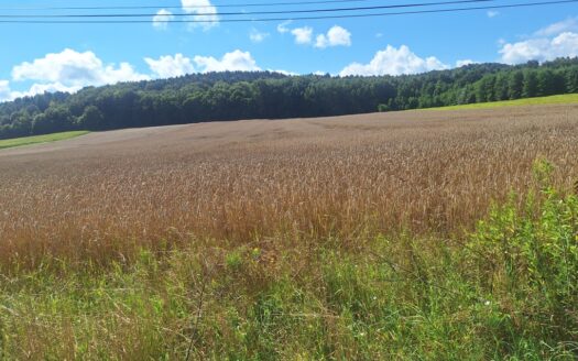 Działka rolna 2,412 h Czułówek gm Czernichów-Kraków