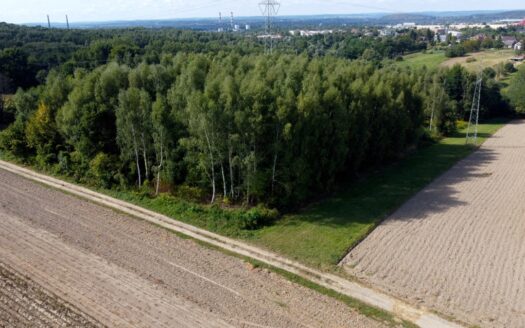 NIERUCHOMOŚĆ GRUNTOWA, 15KM OD KRAKOWA, 3,29HA
