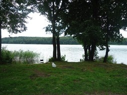 DZIAŁKI REKREACYJNO-BUDOWLANE