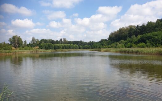 PTAKOWICE usługi sportu