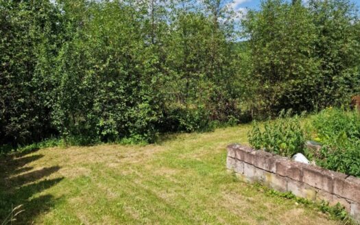 Dom wolnostojący z dużym potencjałem