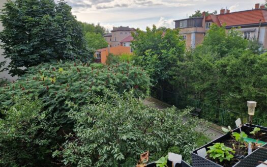 Mieszkanie na Norwida bez pośredników