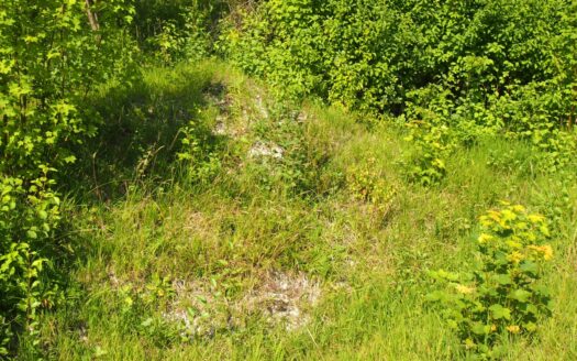 działka rekreacyjna