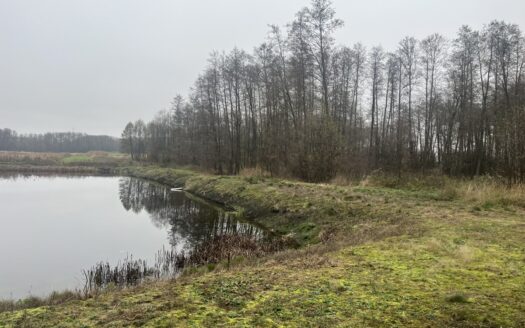Las i staw – na sprzedaż działki rolne.