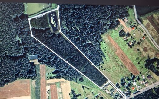 Las i staw – na sprzedaż działki rolne.