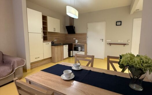 Wygodny dom bez barier | Parter + taras