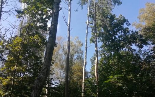 Piękna atrakcyjnie położona działka.